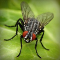 /album/viajes-marsol-coapa-/photolia-a01-jpg/