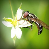 /album/viajes-marsol-coapa-/photolia-a02-jpg/