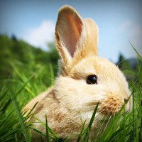 /album/viajes-marsol-coapa-/photolia-a03-jpg/