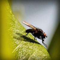 /album/viajes-marsol-coapa-/photolia-a04-jpg/