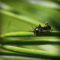 /album/viajes-marsol-coapa-/photolia-a05-jpg/