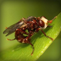 /album/viajes-marsol-coapa-/photolia-a06-jpg/