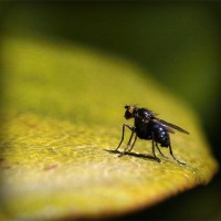 /album/viajes-marsol-coapa-/photolia-a07-jpg/