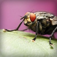 /album/viajes-marsol-coapa-/photolia-a08-jpg/